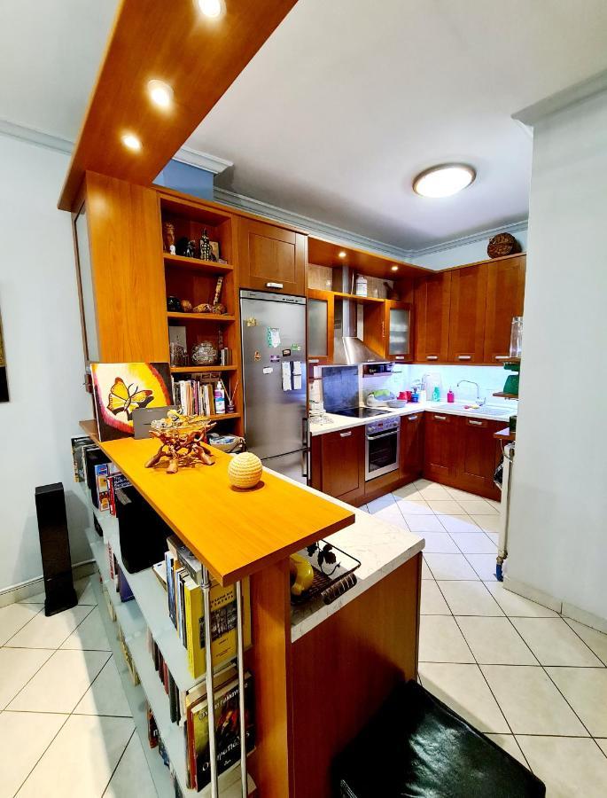 Large Terrace Apartment Near City Centre アテネ エクステリア 写真