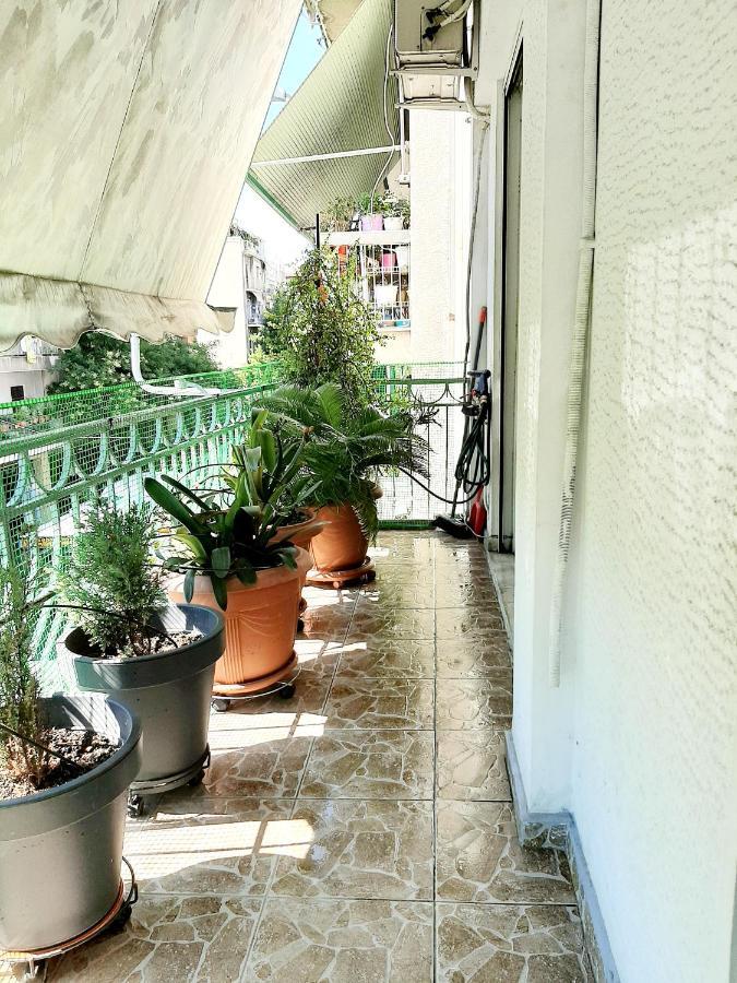 Large Terrace Apartment Near City Centre アテネ エクステリア 写真