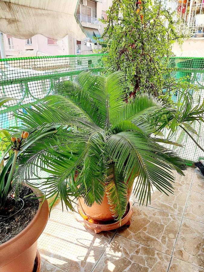 Large Terrace Apartment Near City Centre アテネ エクステリア 写真