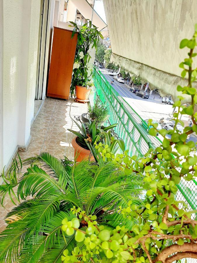 Large Terrace Apartment Near City Centre アテネ エクステリア 写真