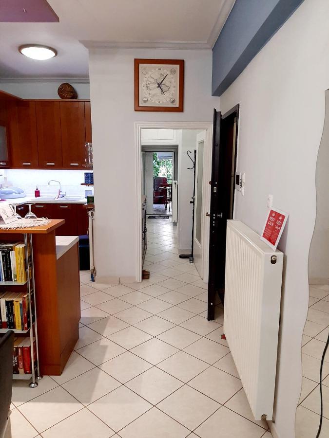 Large Terrace Apartment Near City Centre アテネ エクステリア 写真