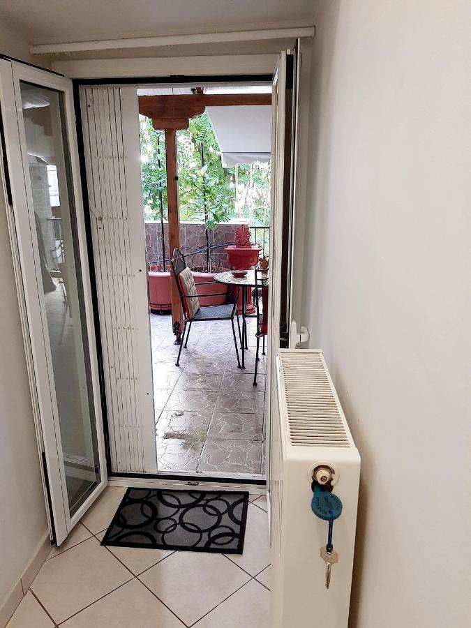 Large Terrace Apartment Near City Centre アテネ エクステリア 写真