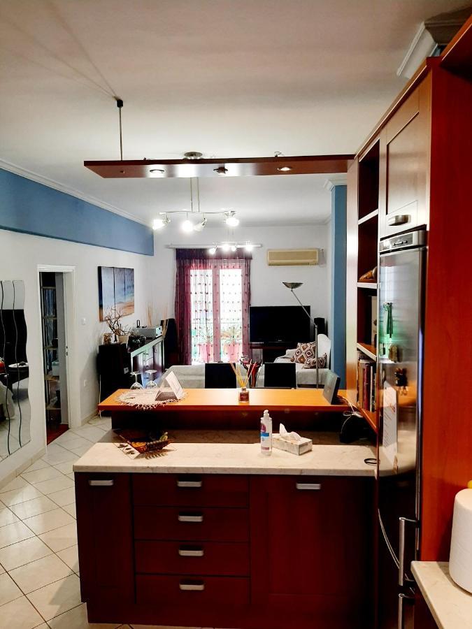 Large Terrace Apartment Near City Centre アテネ エクステリア 写真