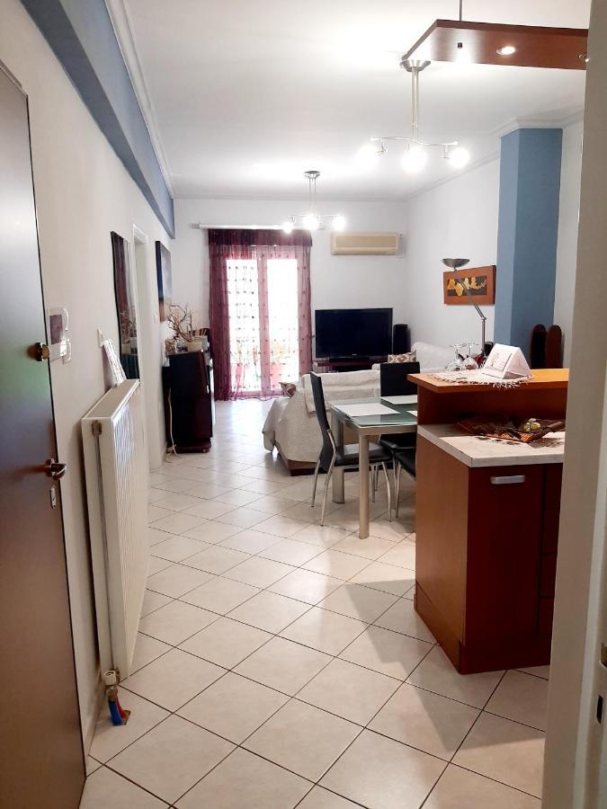 Large Terrace Apartment Near City Centre アテネ エクステリア 写真