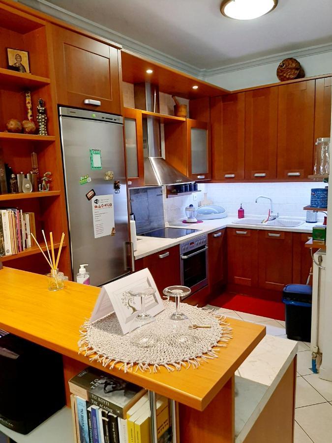 Large Terrace Apartment Near City Centre アテネ エクステリア 写真