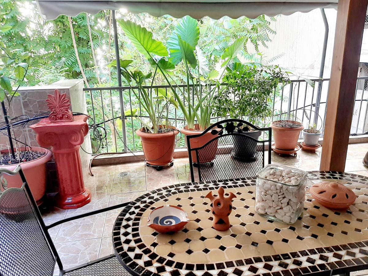 Large Terrace Apartment Near City Centre アテネ エクステリア 写真